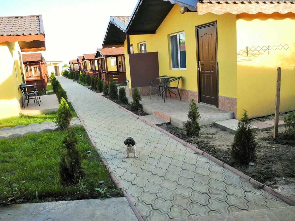 Cazare Balliu Hotel Corbu  Luaran gambar