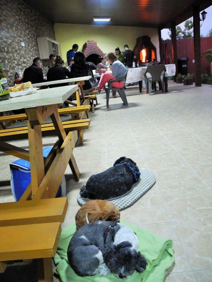 Cazare Balliu Hotel Corbu  Luaran gambar