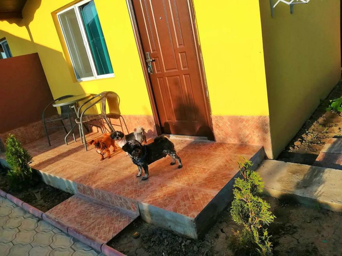 Cazare Balliu Hotel Corbu  Luaran gambar